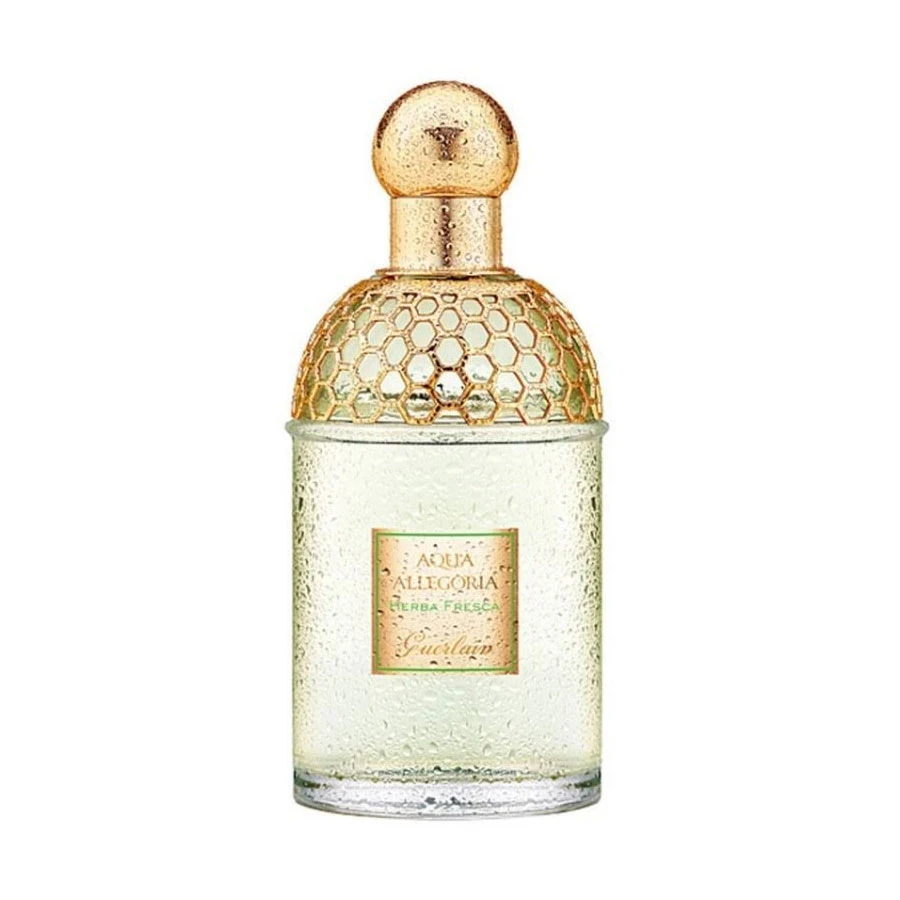 Guerlain Aqua Allegoria Herba Fresca Eau De Toilette 125 Ml 3 Guerlain Aqua Allegoria Herba Fresca Eau De Toilette 125 Ml