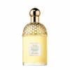 Guerlain Aqua Allegoria Bergamote Calabria Eau De Toilette 125 Ml 2 Guerlain Aqua Allegoria Bergamote Calabria Eau De Toilette 125 Ml -Guerlain 275143